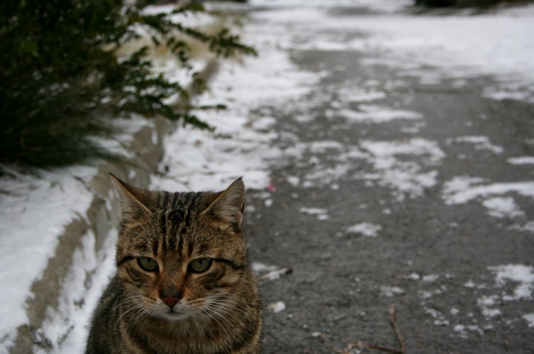 Gang member outside of its lair