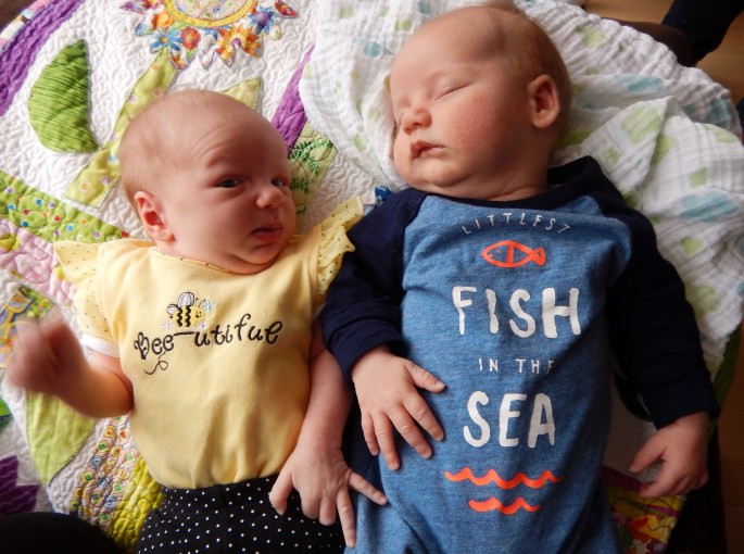 Testing the waters with Frederik